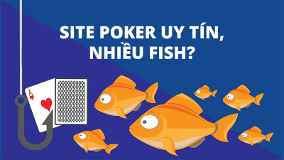 Site poker nào uy tín và nhiều fish để kiếm ăn nhất?